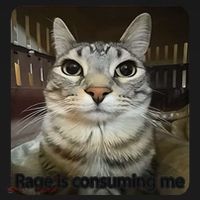 Rage Is Consuming Me Funny Meme Cat Joke Cat Lovers Baby Bodysuit thumb 2