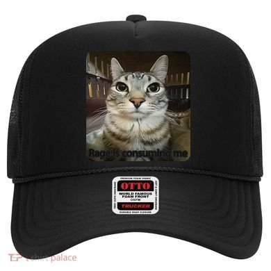 Rage Is Consuming Me Funny Meme Cat Joke Cat Lovers Hat