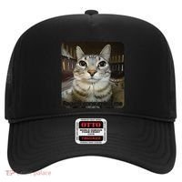 Rage Is Consuming Me Funny Meme Cat Joke Cat Lovers Hat thumb 0