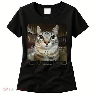 Rage Is Consuming Me Funny Meme Cat Joke Cat Lovers Women's T-Shirt