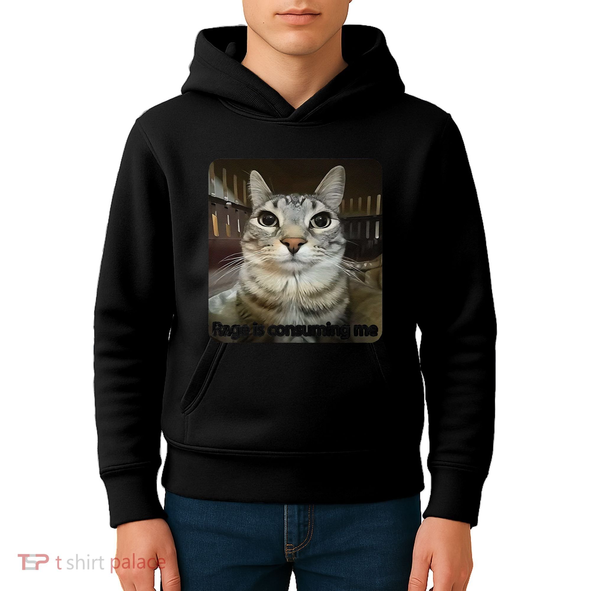 Rage Is Consuming Me Funny Meme Cat Joke Cat Lovers Kids Hoodie