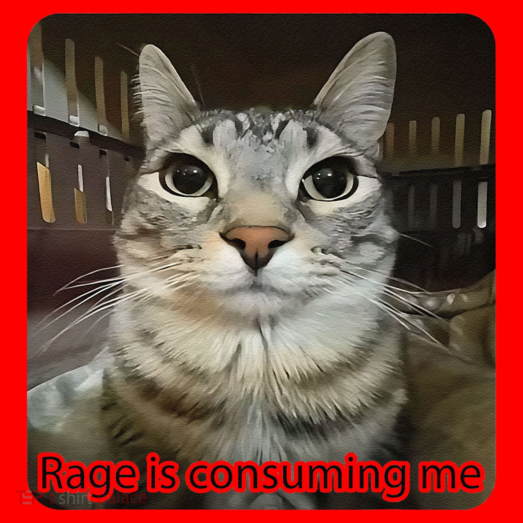 Rage Is Consuming Me Funny Meme Cat Joke Cat Lovers Santa Hat