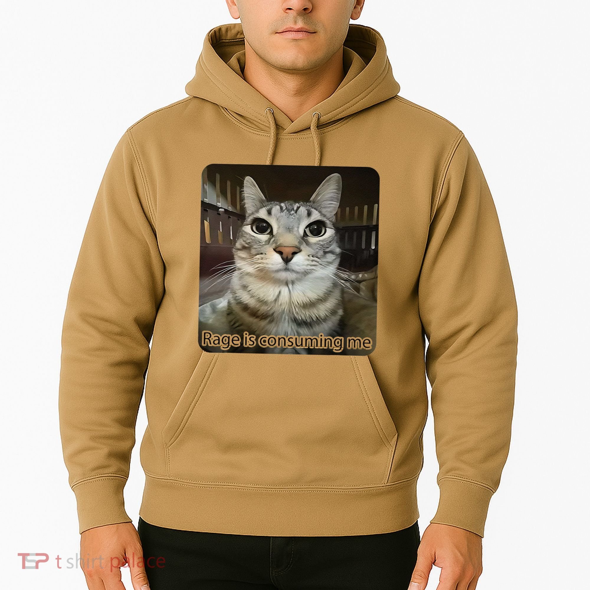 Rage Is Consuming Me Funny Meme Cat Joke Cat Lovers Hoodie