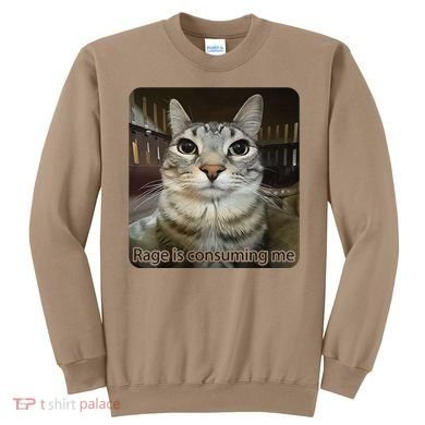 Rage Is Consuming Me Funny Meme Cat Joke Cat Lovers Sweatshirt