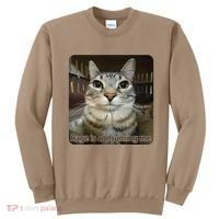 Rage Is Consuming Me Funny Meme Cat Joke Cat Lovers Sweatshirt thumb 0
