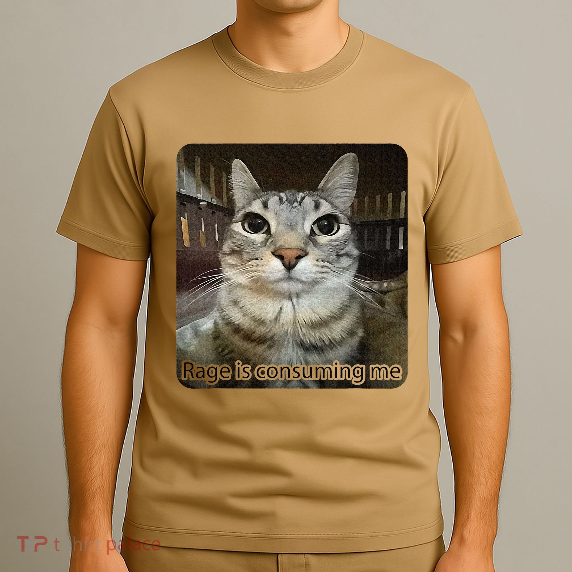 Rage Is Consuming Me Funny Meme Cat Joke Cat Lovers T-Shirt