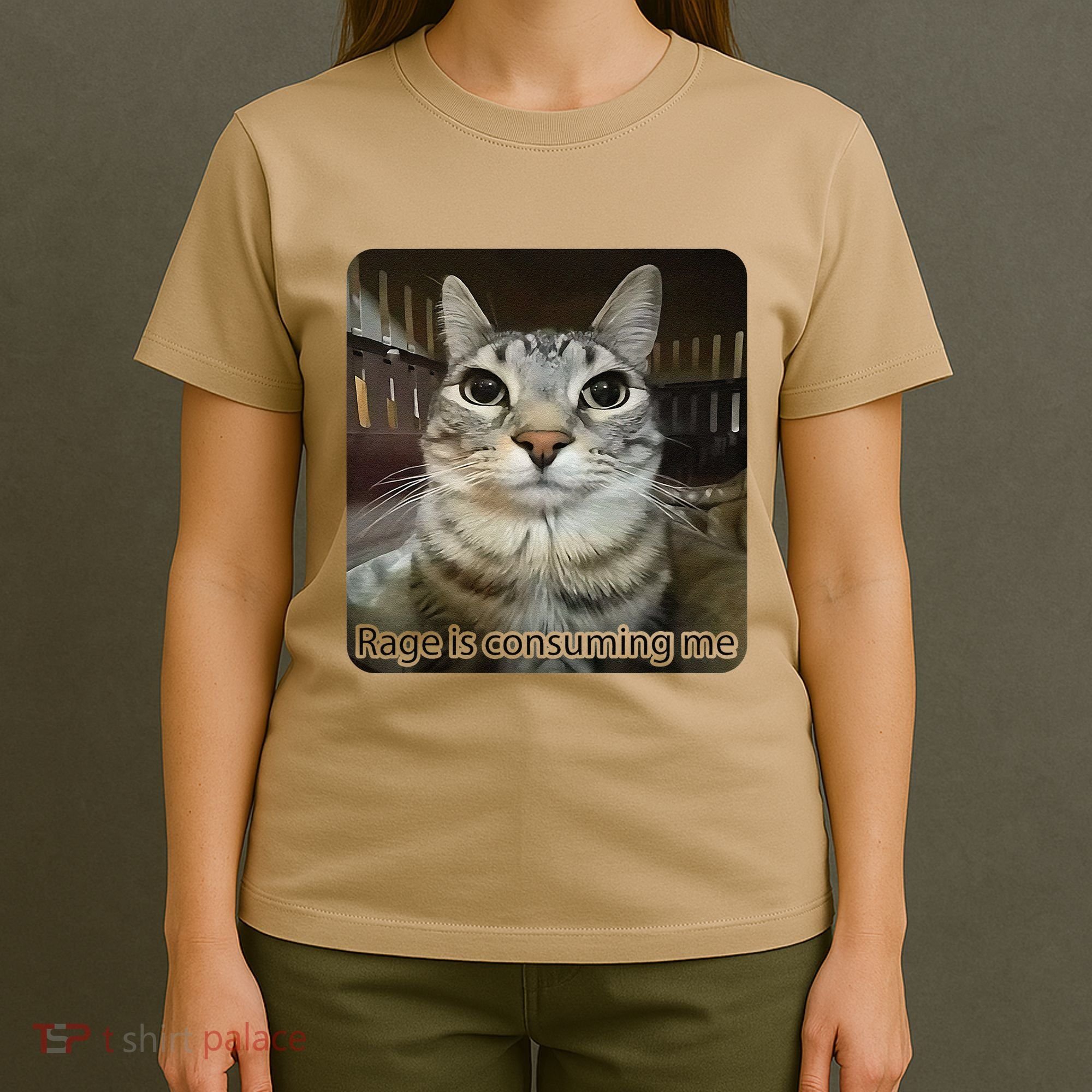 Rage Is Consuming Me Funny Meme Cat Joke Cat Lovers T-Shirt