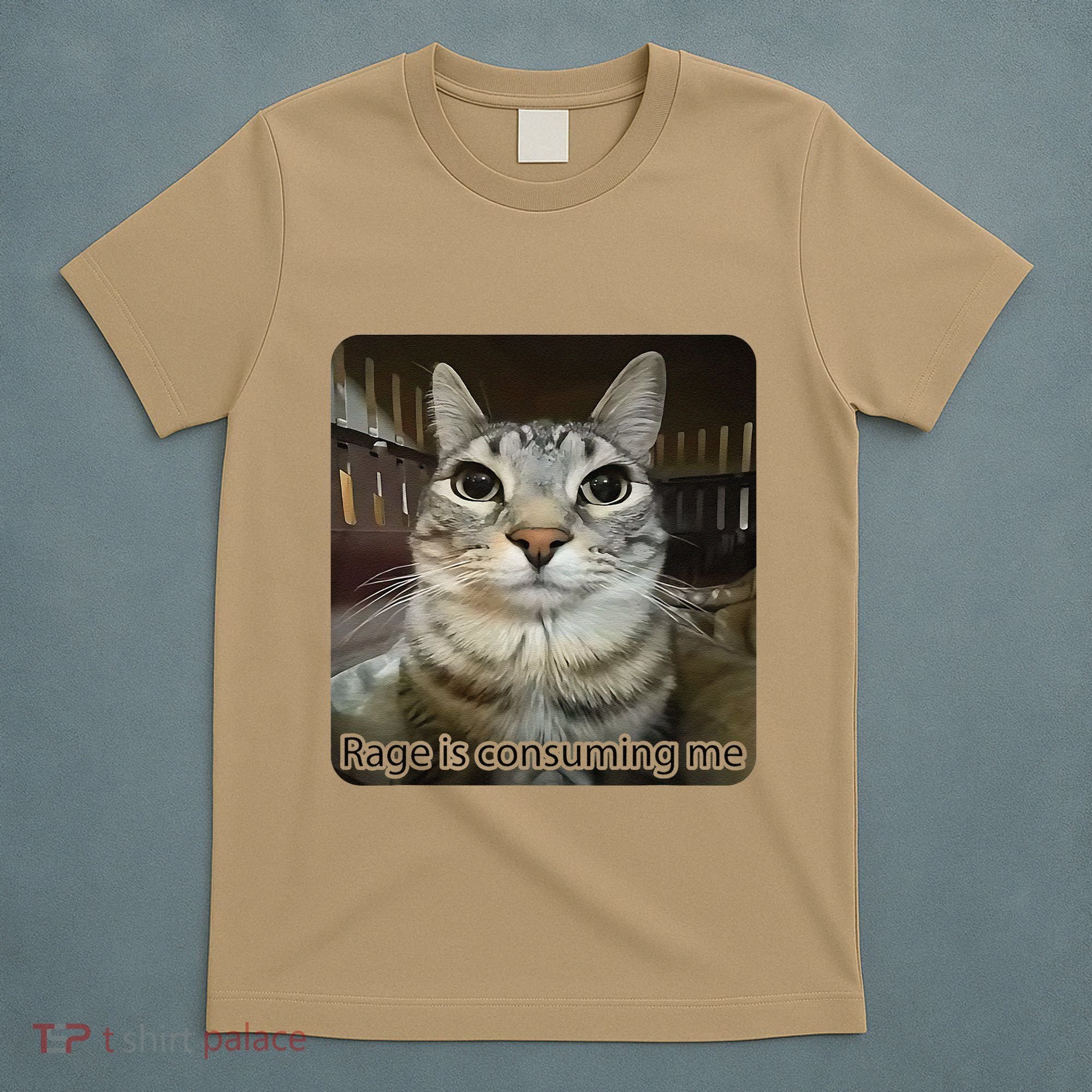 Rage Is Consuming Me Funny Meme Cat Joke Cat Lovers T-Shirt