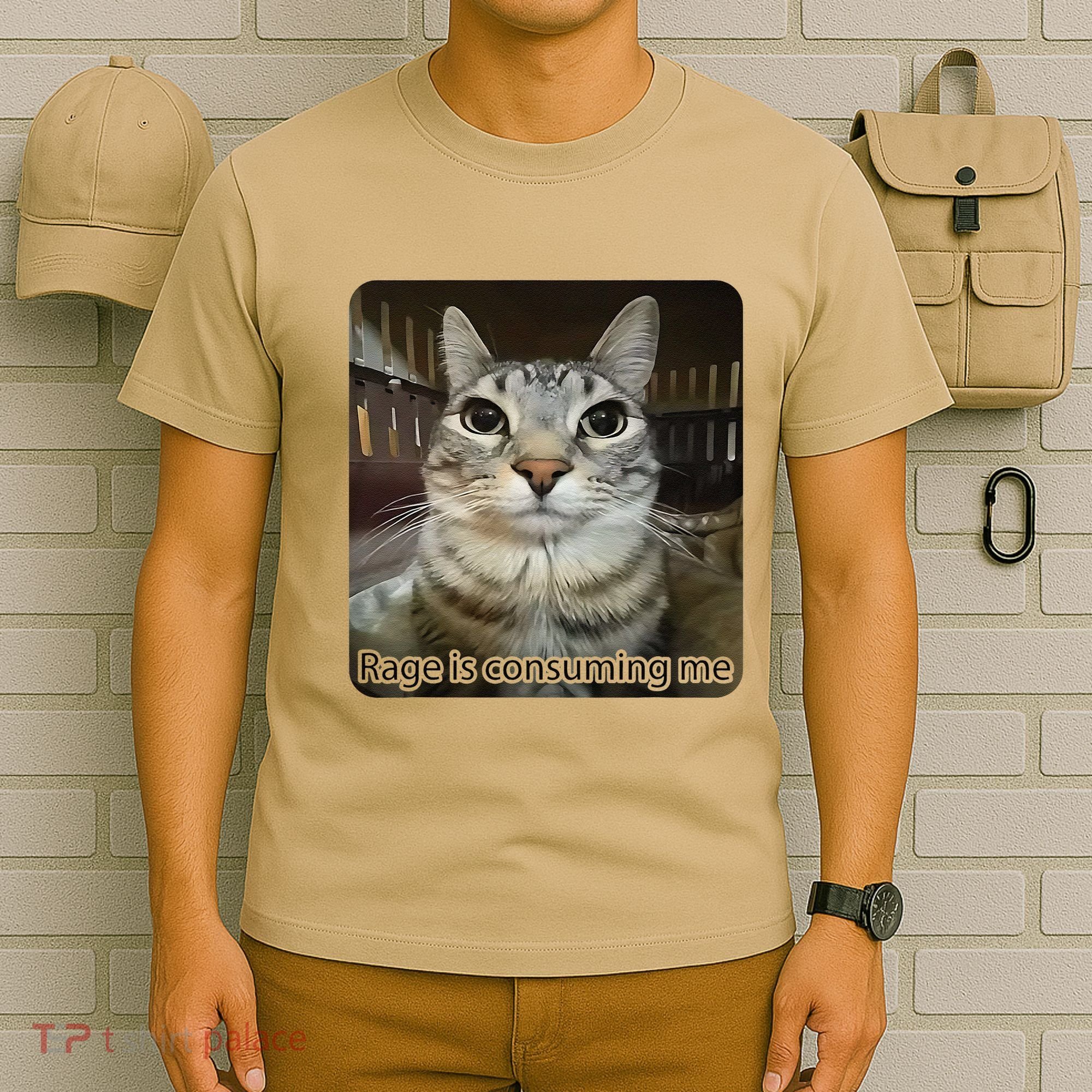 Rage Is Consuming Me Funny Meme Cat Joke Cat Lovers T-Shirt