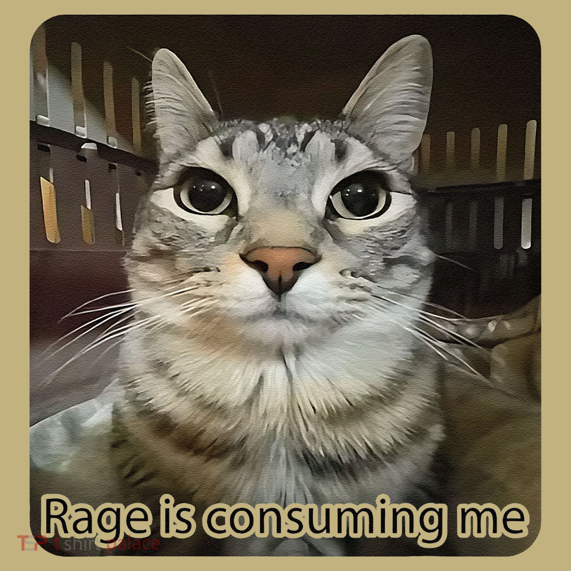 Rage Is Consuming Me Funny Meme Cat Joke Cat Lovers T-Shirt
