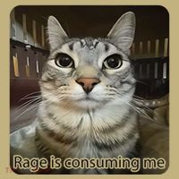 Rage Is Consuming Me Funny Meme Cat Joke Cat Lovers Mousepad thumb 1