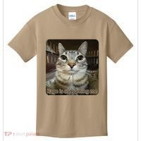 Rage Is Consuming Me Funny Meme Cat Joke Cat Lovers Kids T-Shirt thumb 0