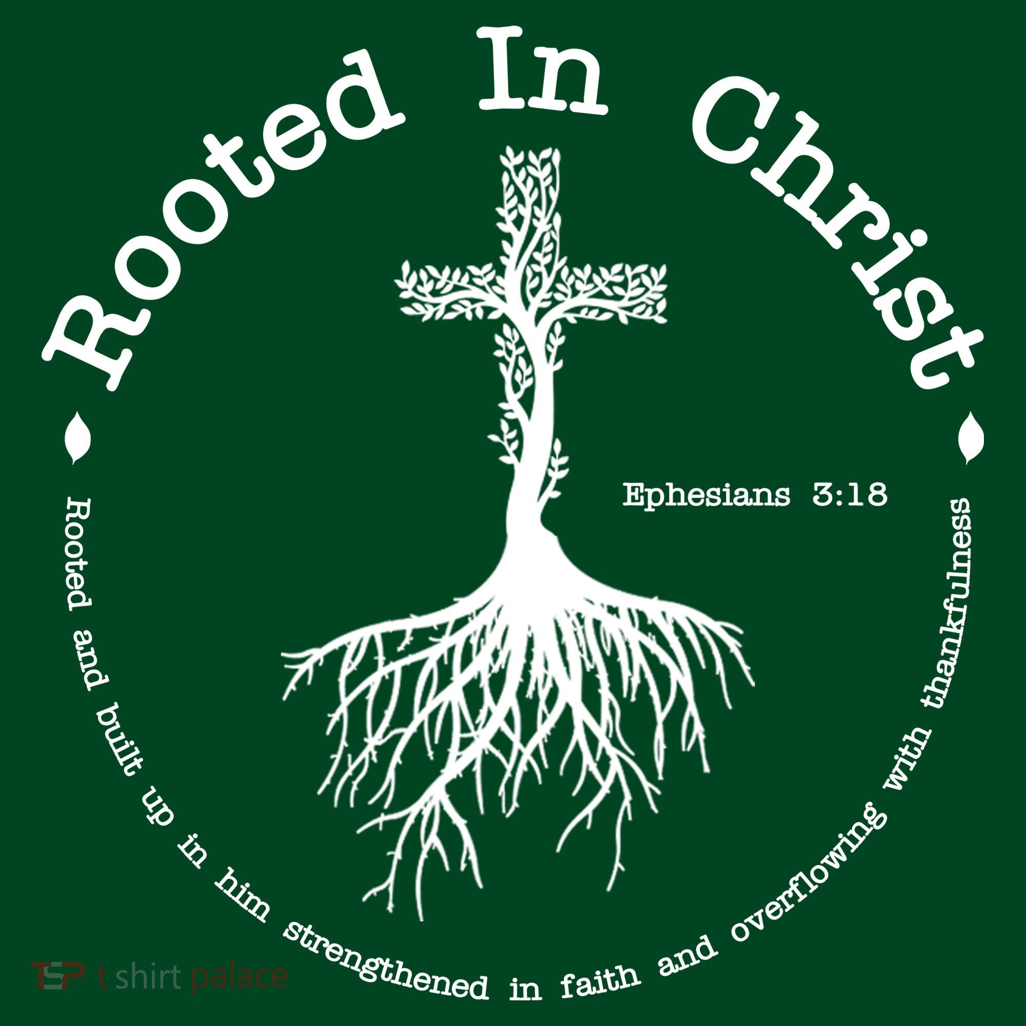Rooted In Christ Christianity Quote Hoodie