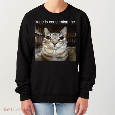 Rage Is Consuming Me Silly Staring Cat Meme Women's Sweatshirt