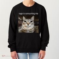 Rage Is Consuming Me Silly Staring Cat Meme Women's Sweatshirt thumb 0