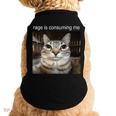Rage Is Consuming Me Silly Staring Cat Meme Doggie Tank