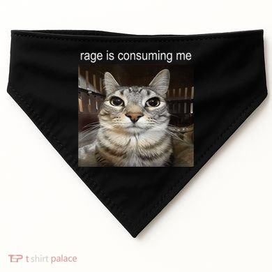 Rage Is Consuming Me Silly Staring Cat Meme USA-Made Doggie Bandana