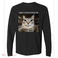 Rage Is Consuming Me Silly Staring Cat Meme Comfort Colors Heavyweight Long Sleeve T-Shirt thumb 0