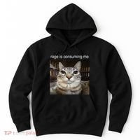 Rage Is Consuming Me Silly Staring Cat Meme Hoodie thumb 0
