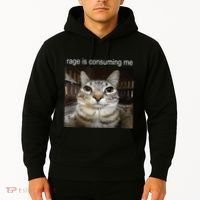 Rage Is Consuming Me Silly Staring Cat Meme Hoodie thumb 2