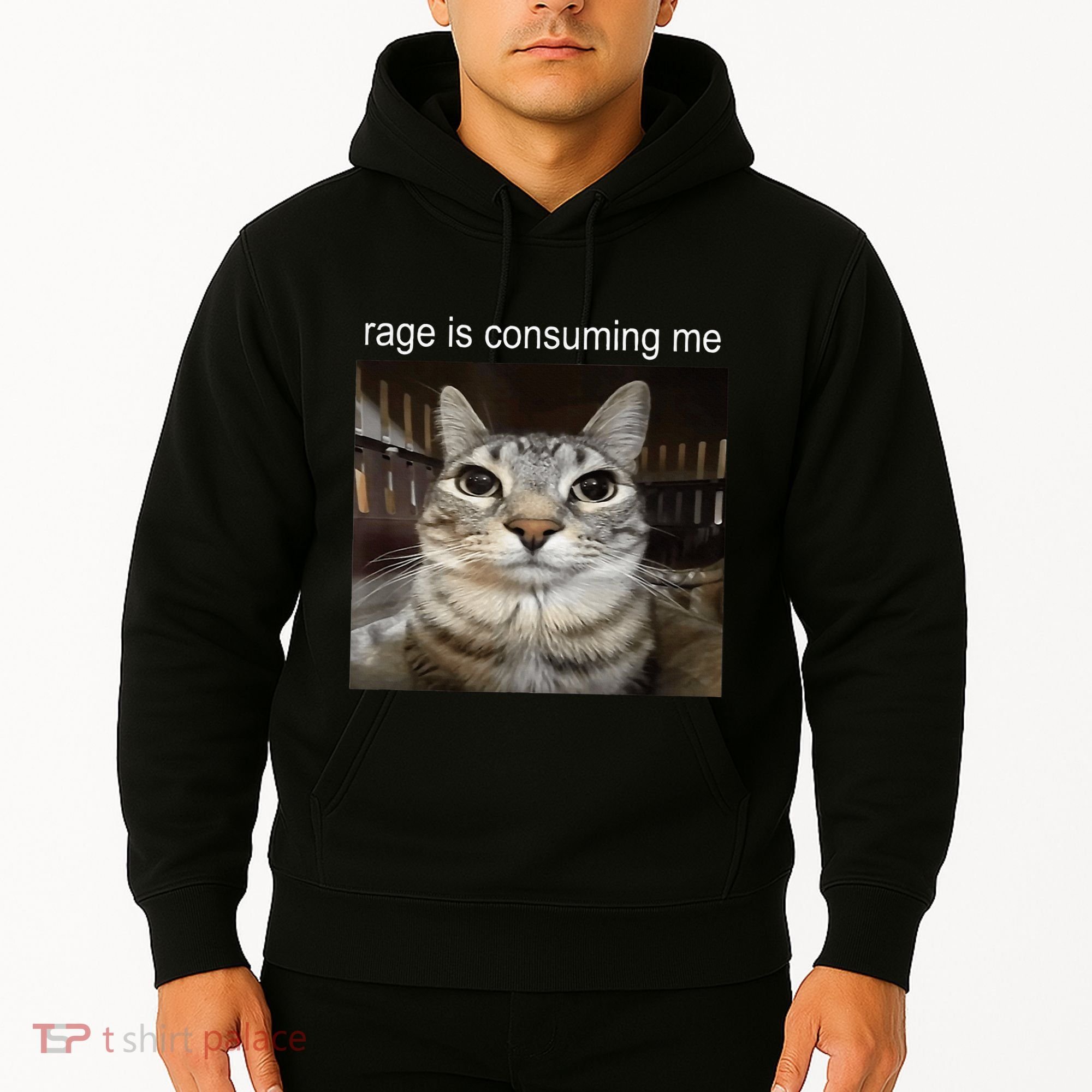 Rage Is Consuming Me Silly Staring Cat Meme Hoodie