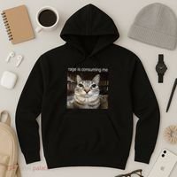 Rage Is Consuming Me Silly Staring Cat Meme Hoodie thumb 3