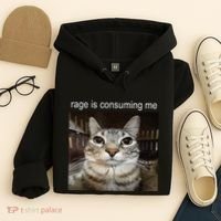 Rage Is Consuming Me Silly Staring Cat Meme Hoodie thumb 4