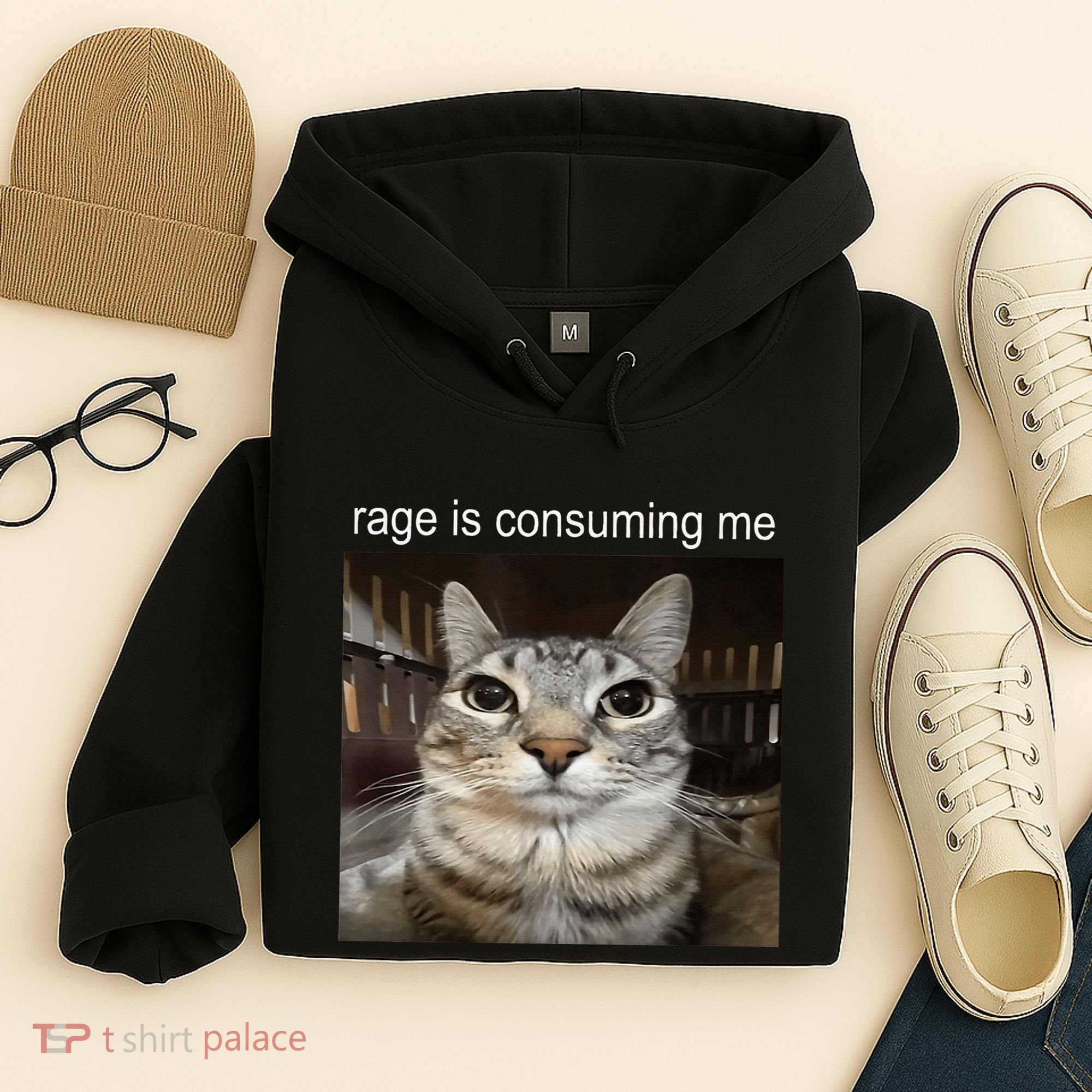 Rage Is Consuming Me Silly Staring Cat Meme Hoodie