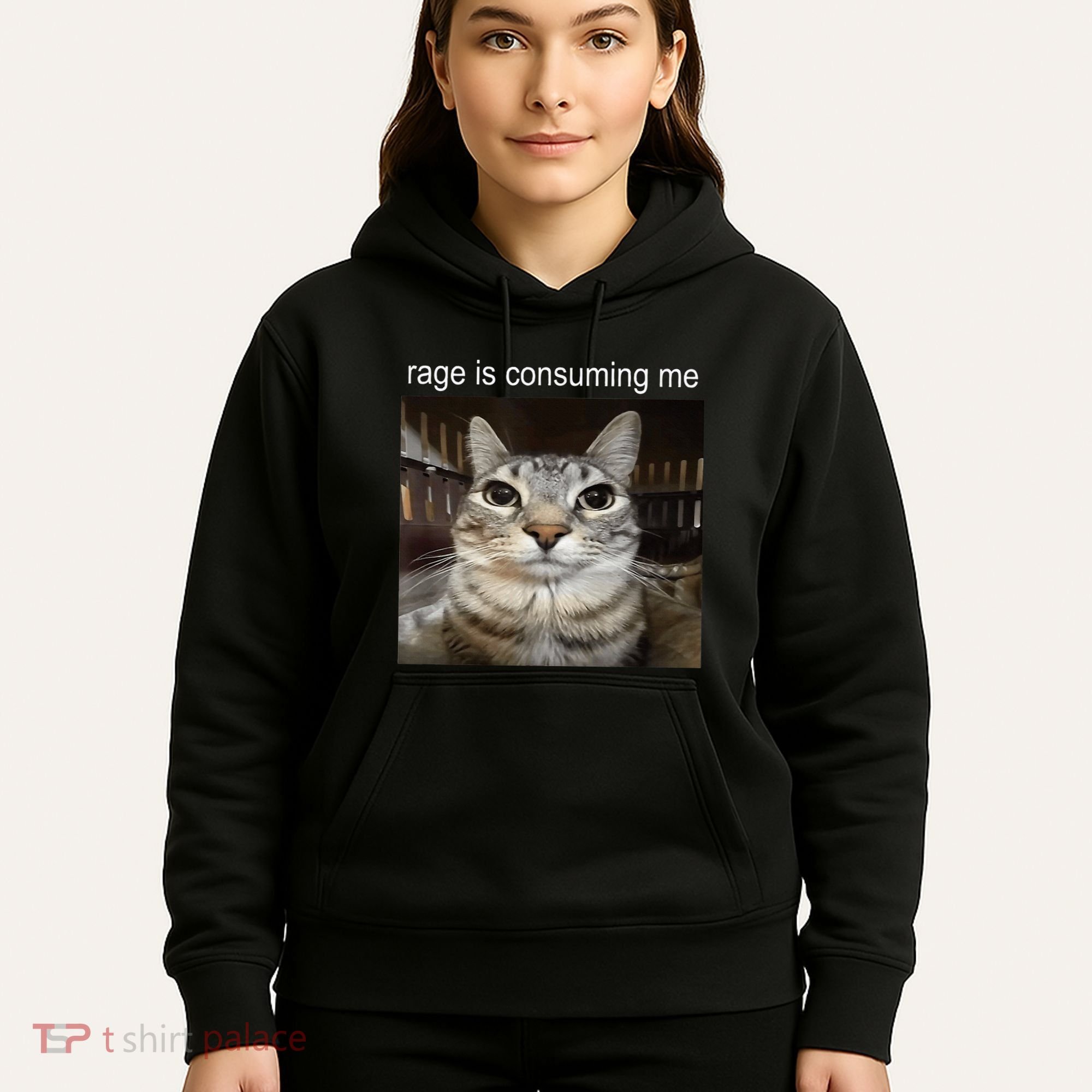 Rage Is Consuming Me Silly Staring Cat Meme Hoodie