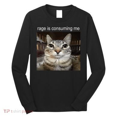 Rage Is Consuming Me Silly Staring Cat Meme Long Sleeve Shirt