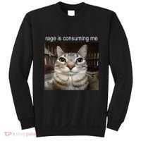 Rage Is Consuming Me Silly Staring Cat Meme Sweatshirt thumb 0