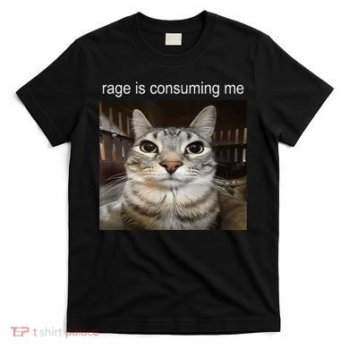 Rage Is Consuming Me Silly Staring Cat Meme T-Shirt