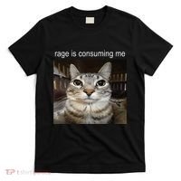 Rage Is Consuming Me Silly Staring Cat Meme T-Shirt thumb 0