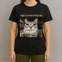 Rage Is Consuming Me Silly Staring Cat Meme T-Shirt thumb 4