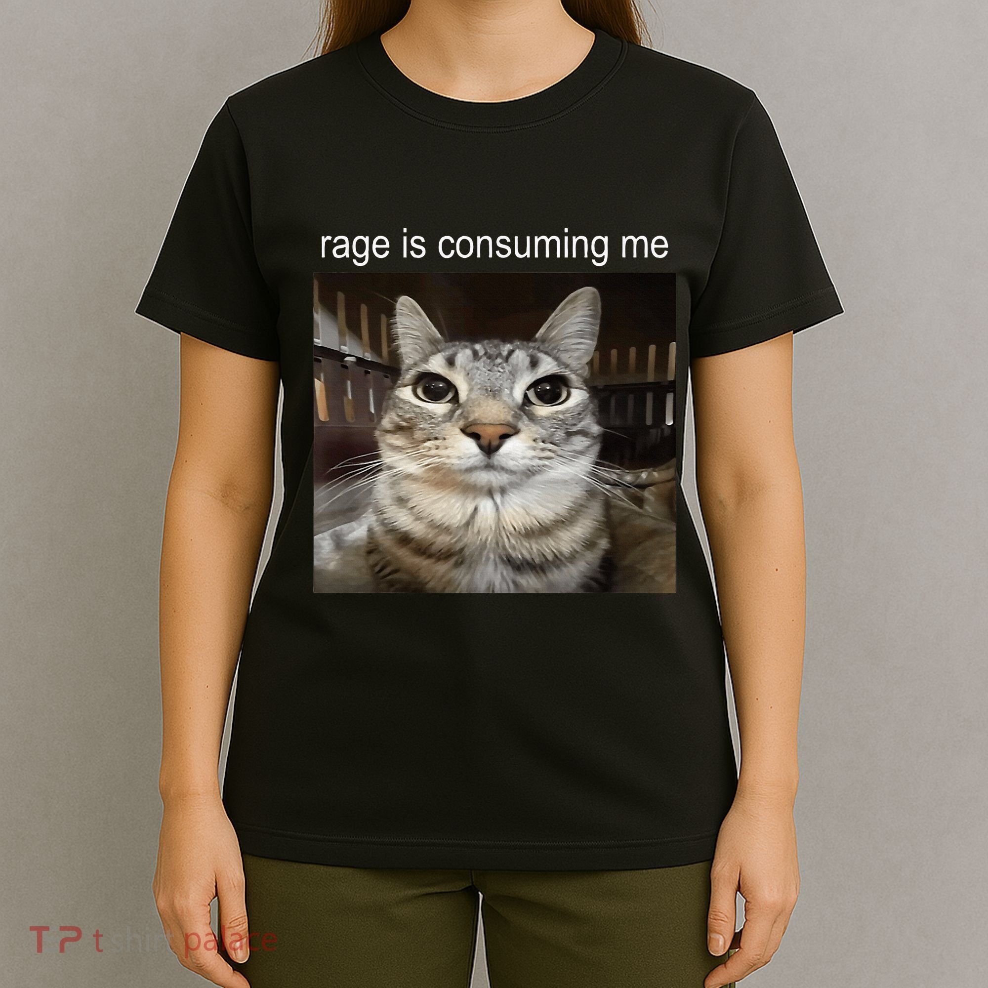 Rage Is Consuming Me Silly Staring Cat Meme T-Shirt