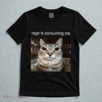 Rage Is Consuming Me Silly Staring Cat Meme T-Shirt thumb 5