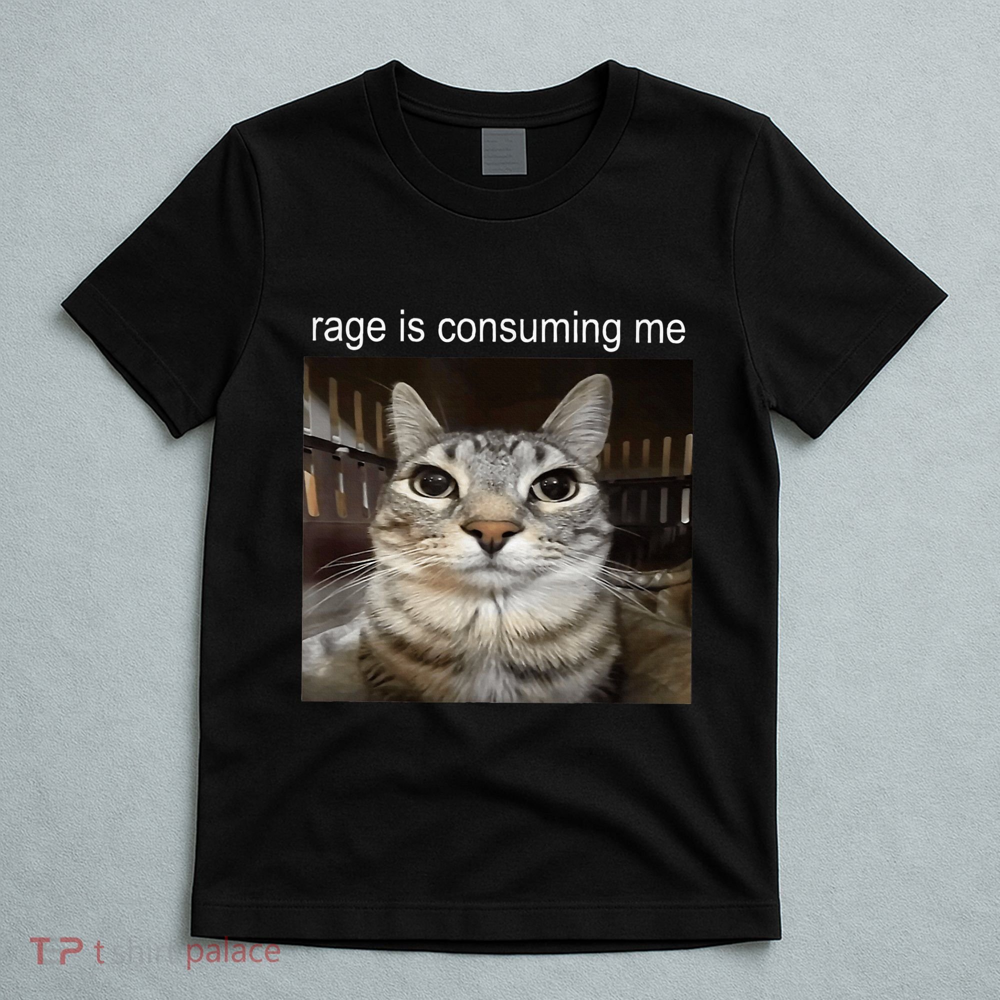 Rage Is Consuming Me Silly Staring Cat Meme T-Shirt