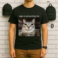 Rage Is Consuming Me Silly Staring Cat Meme T-Shirt thumb 6