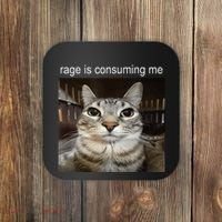 Rage Is Consuming Me Silly Staring Cat Meme Coaster thumb 0