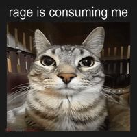Rage Is Consuming Me Silly Staring Cat Meme Pajama Set thumb 2