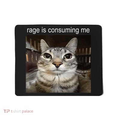 Rage Is Consuming Me Silly Staring Cat Meme Mousepad