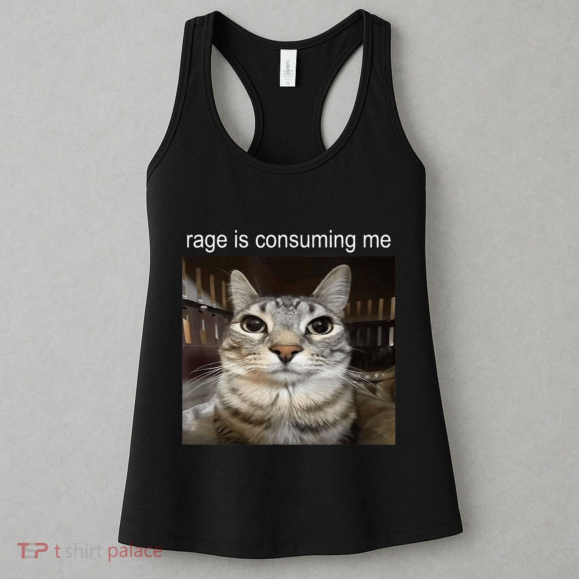 Rage Is Consuming Me Silly Staring Cat Meme Women's Tank Top