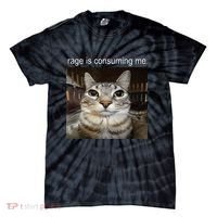 Rage Is Consuming Me Silly Staring Cat Meme Tie-Dye T-Shirt thumb 0
