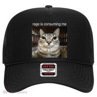 Rage Is Consuming Me Silly Staring Cat Meme Hat thumb 0