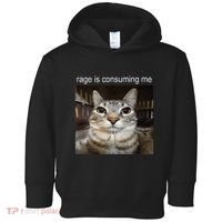 Rage Is Consuming Me Silly Staring Cat Meme Toddler Hoodie thumb 0