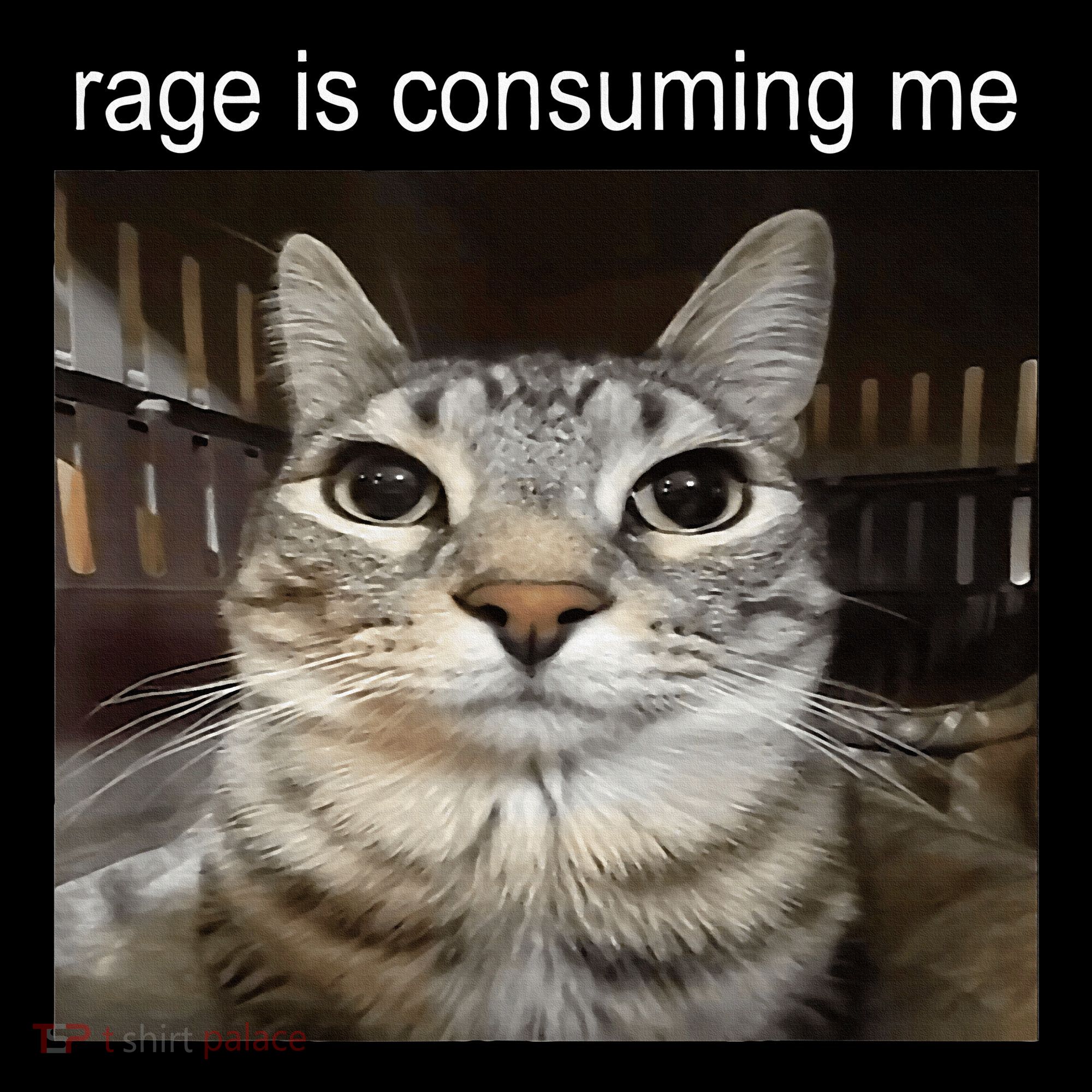 Rage Is Consuming Me Silly Staring Cat Meme Toddler Hoodie