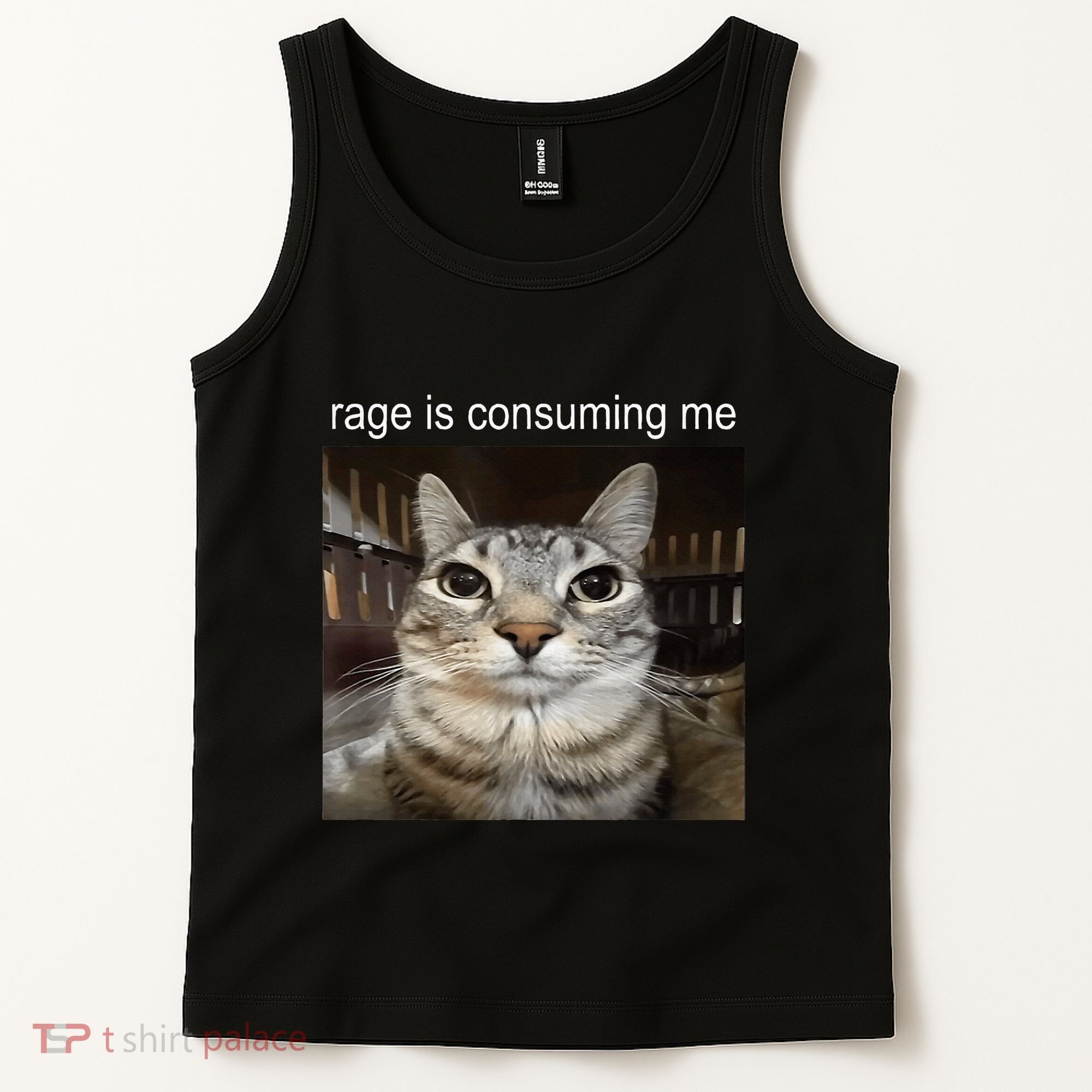 Rage Is Consuming Me Silly Staring Cat Meme Tank Top