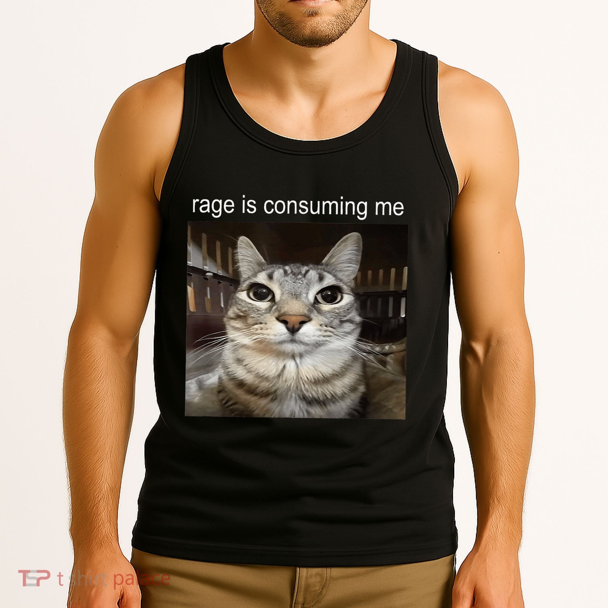 Rage Is Consuming Me Silly Staring Cat Meme Tank Top