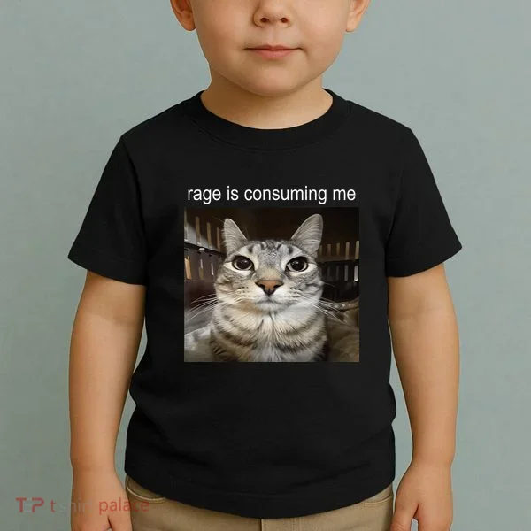 Rage Is Consuming Me Silly Staring Cat Meme Toddler T-Shirt