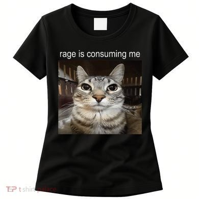 Rage Is Consuming Me Silly Staring Cat Meme Women's T-Shirt
